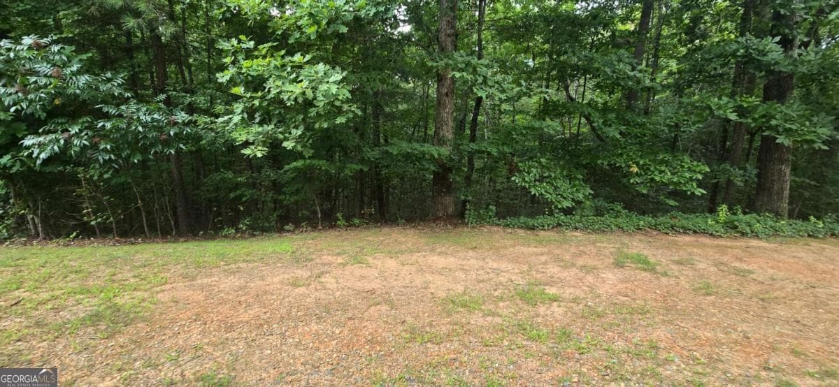 residential lot for sale at LOT 9 Harris Creek Drive, Ellijay, GA 30540 — photo 9