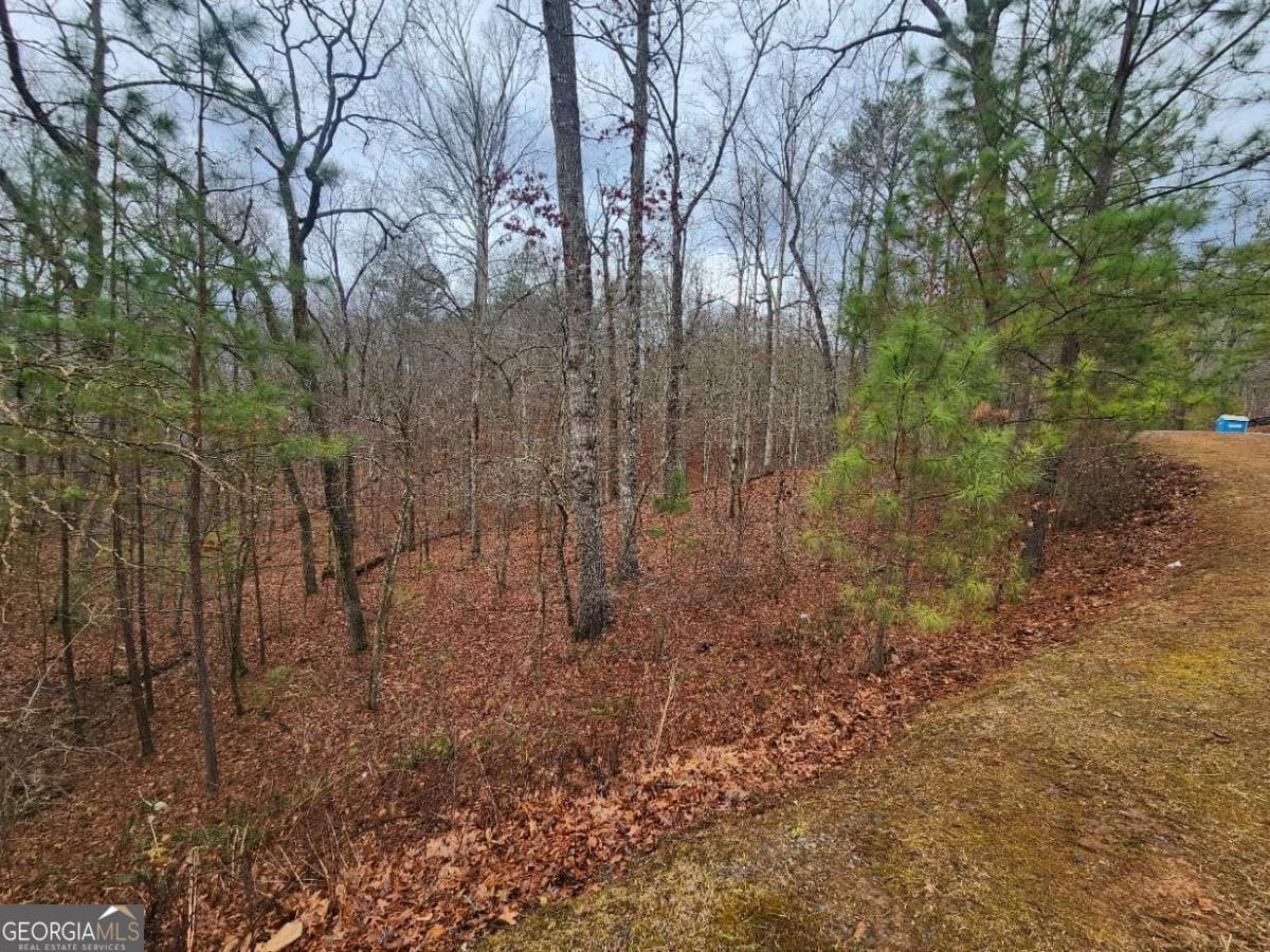 residential lot for sale at LOT 9 Harris Creek Drive, Ellijay, GA 30540 — photo 10