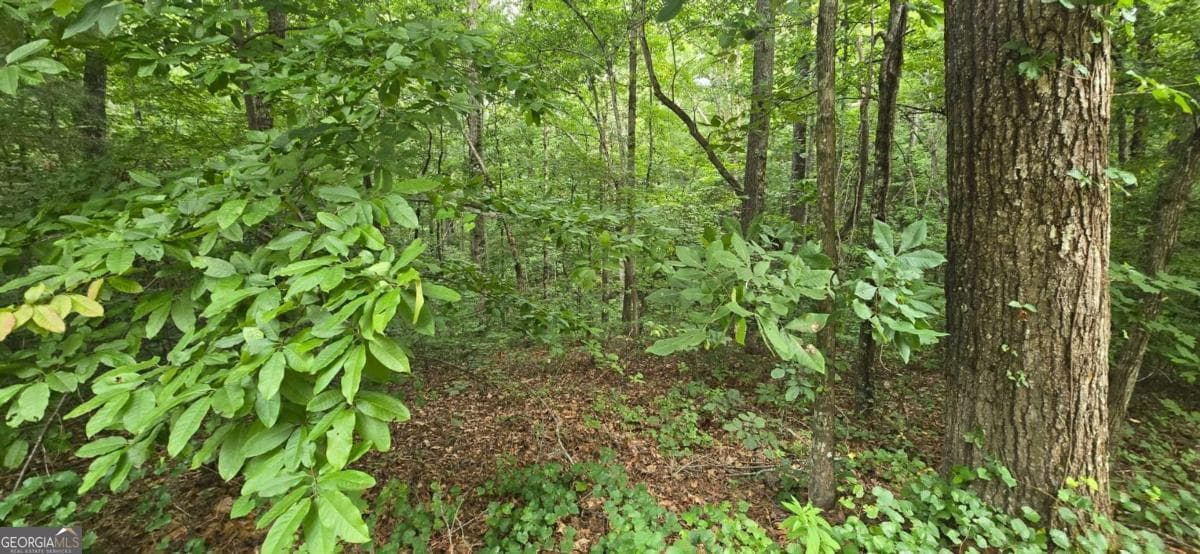 residential lot for sale at LOT 9 Harris Creek Drive, Ellijay, GA 30540 — photo 4