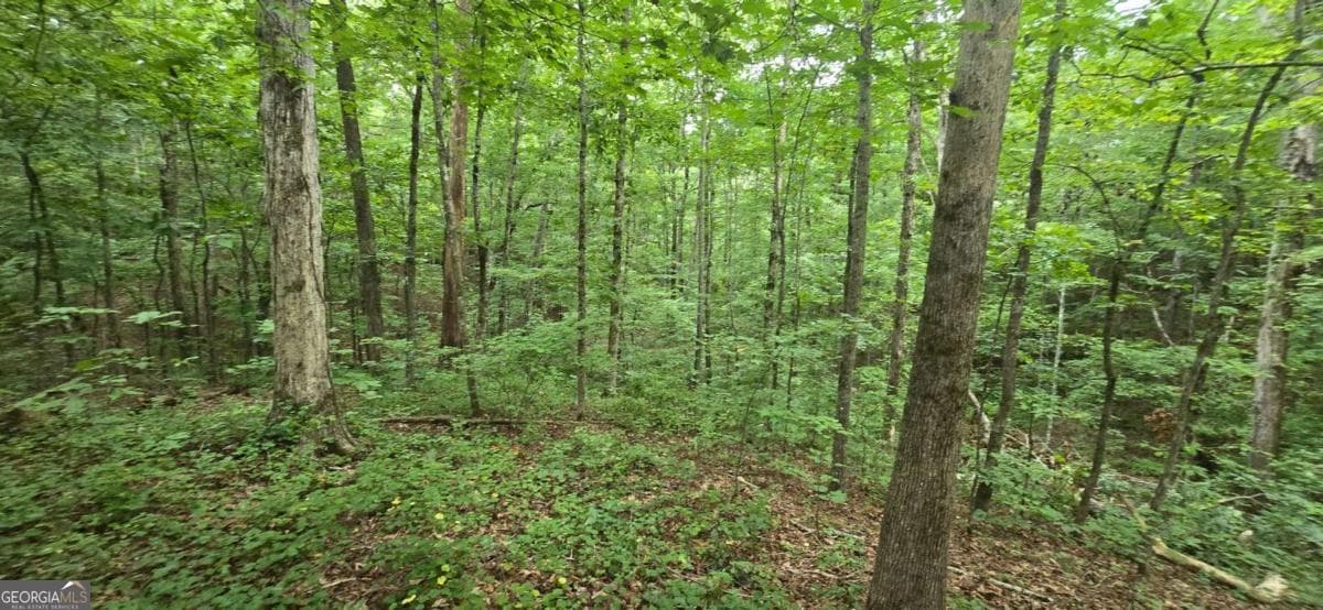 residential lot for sale at LOT 9 Harris Creek Drive, Ellijay, GA 30540 — photo 8