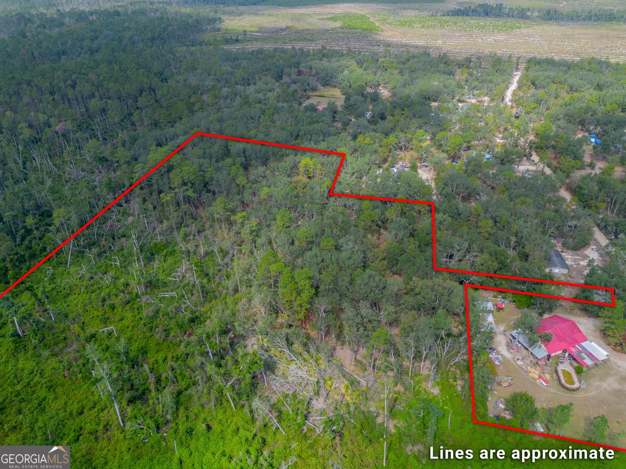 agriculture for sale at 0 Honeysuckle Lane, Pearson, GA 31642 — photo 5