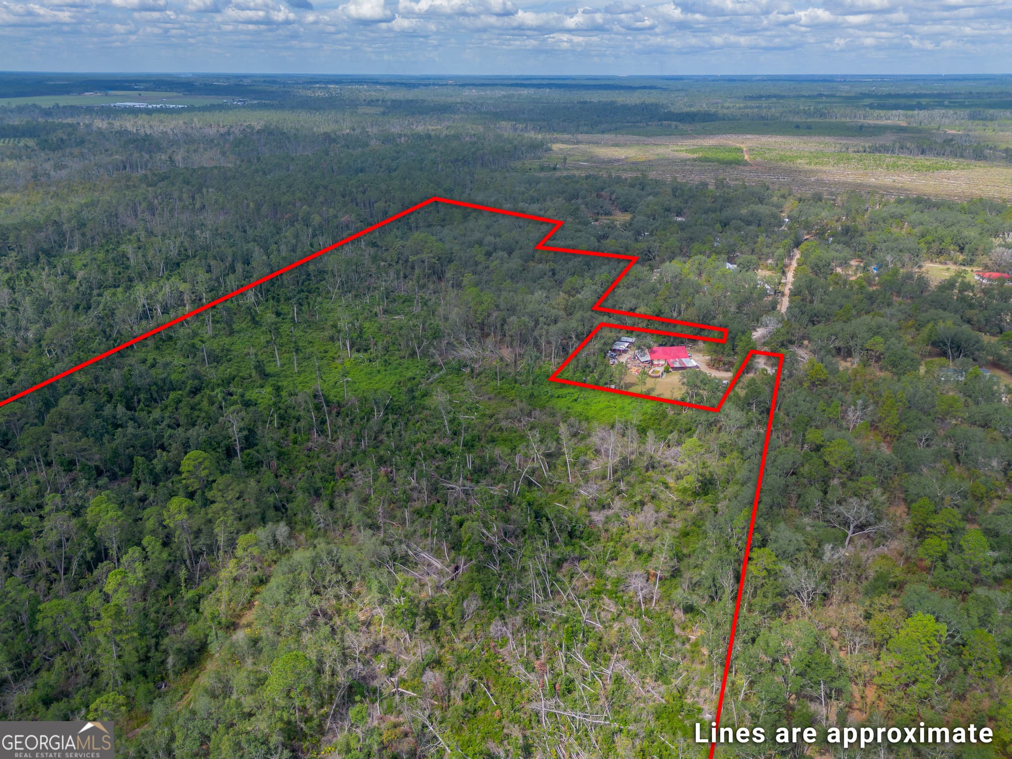 agriculture for sale at 0 Honeysuckle Lane, Pearson, GA 31642 — photo 4