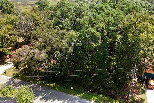 residential lot for sale at LOT 22C Washington Street, St. Marys, GA 31558 — photo 6