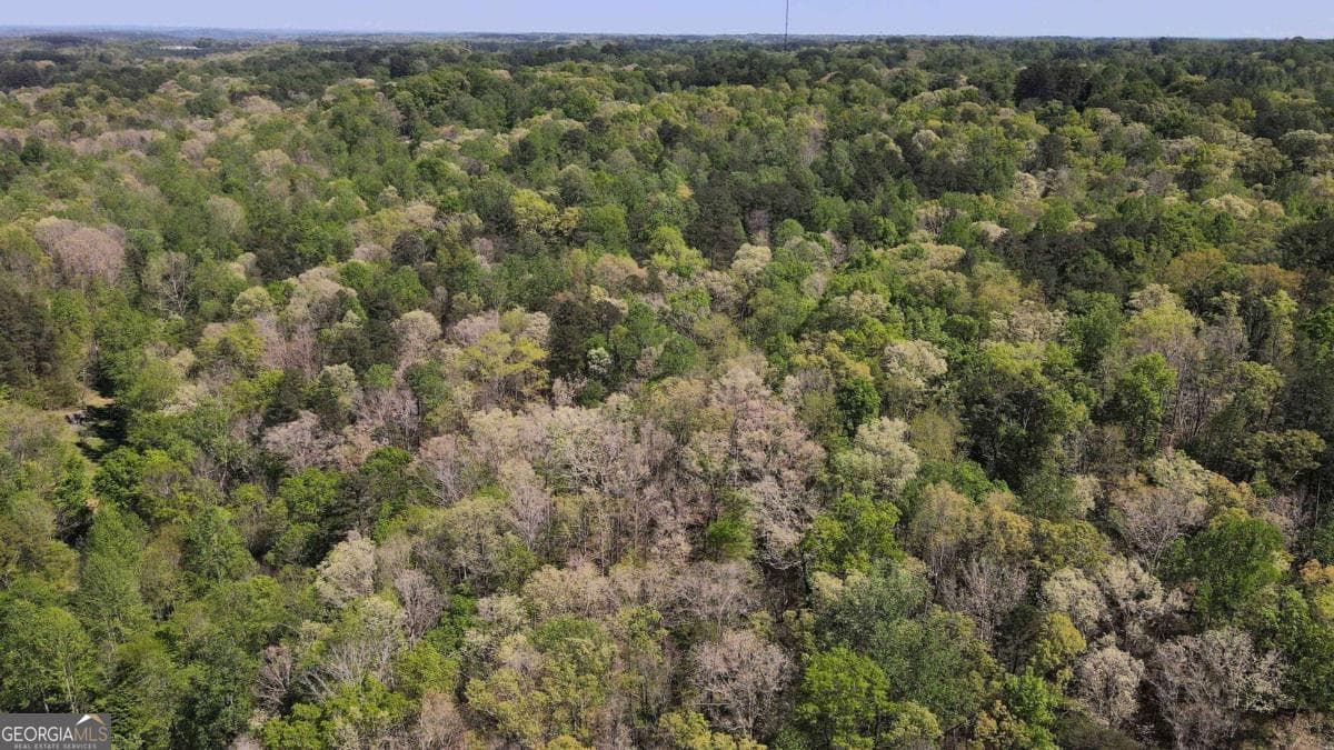 residential lot for sale at 0 Crane Mountain Road, Toccoa, GA 30577 — photo 3
