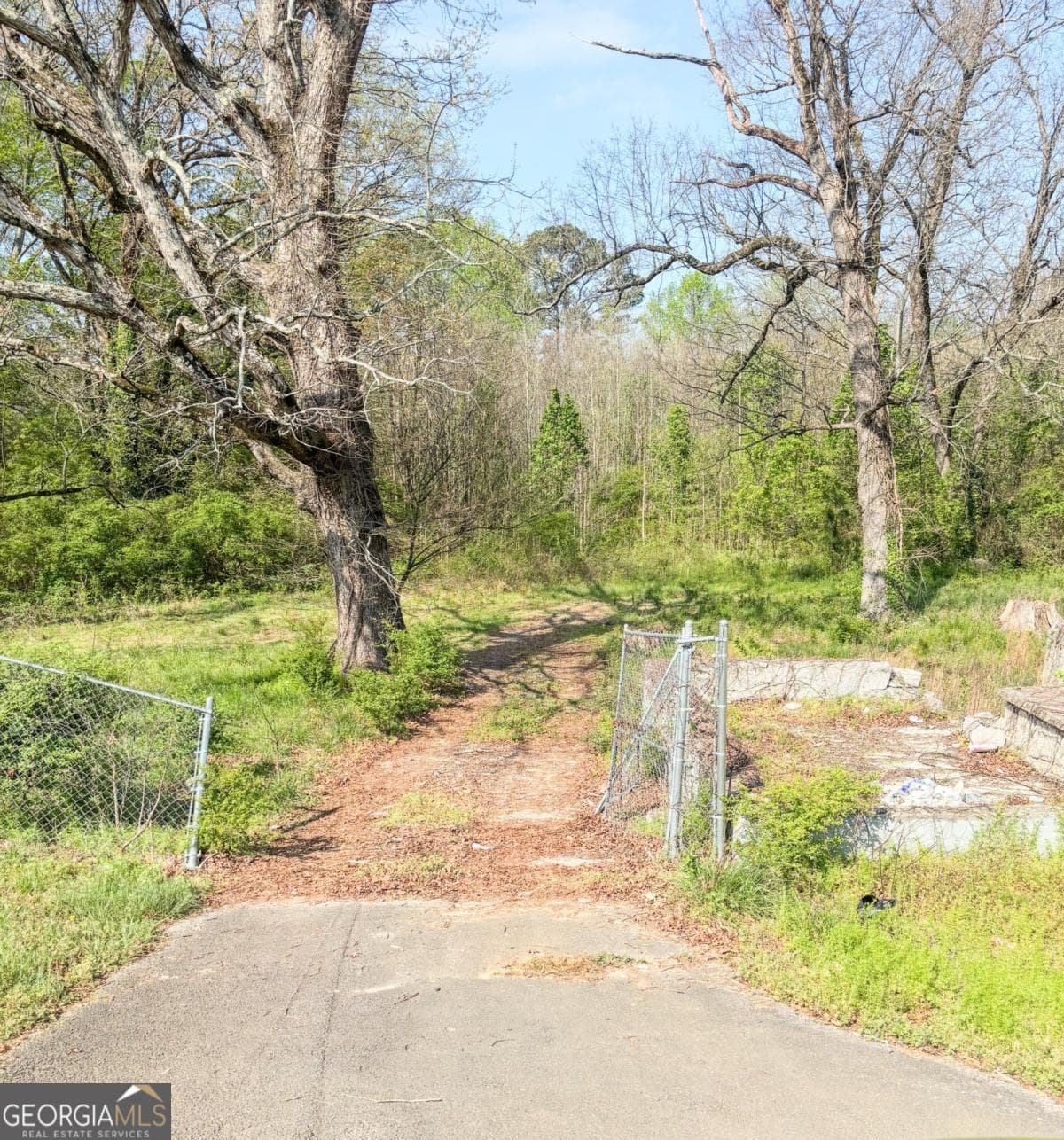 residential lot for sale at 1453 Panola Road, Stone Mountain, GA 30088 — photo 4