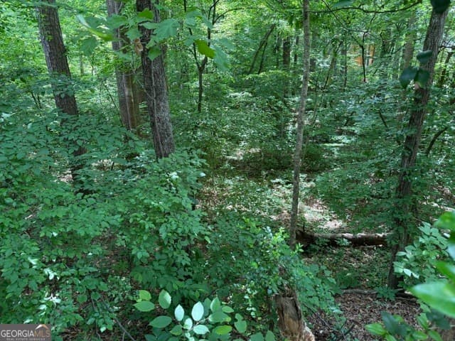 unimproved land for sale at LOT 10 Brookhollow Drive, Canton, GA 30114 — photo 2