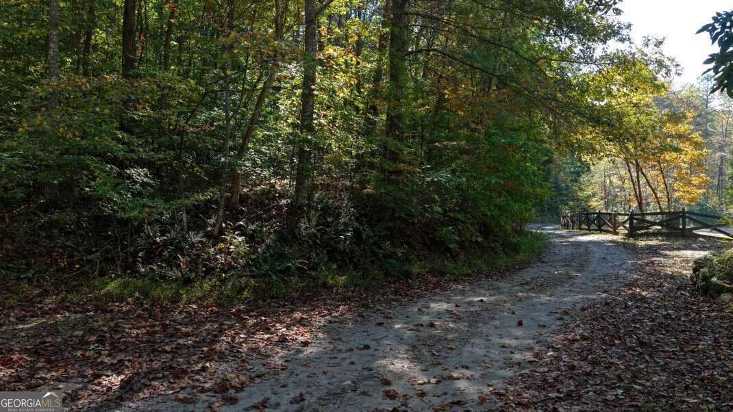 unimproved land for sale at 5.71 AC Forest Service 117 Road, Blairsville, GA 30512 — photo 2