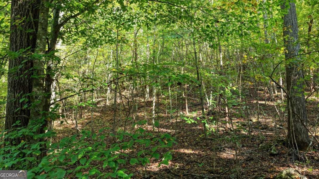 unimproved land for sale at 5.71 AC Forest Service 117 Road, Blairsville, GA 30512 — photo 6