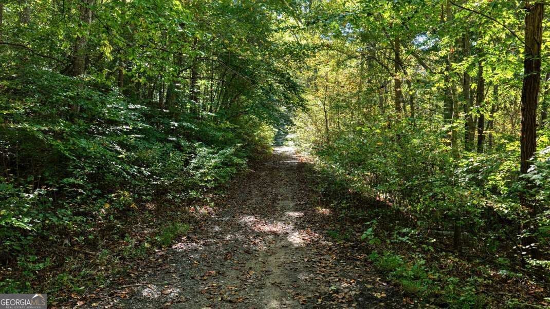 unimproved land for sale at 5.71 AC Forest Service 117 Road, Blairsville, GA 30512 — photo 7