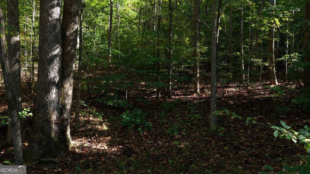 unimproved land for sale at 5.71 AC Forest Service 117 Road, Blairsville, GA 30512 — photo 3