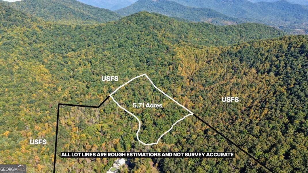 unimproved land for sale at 5.71 AC Forest Service 117 Road, Blairsville, GA 30512 — photo 1 of 9