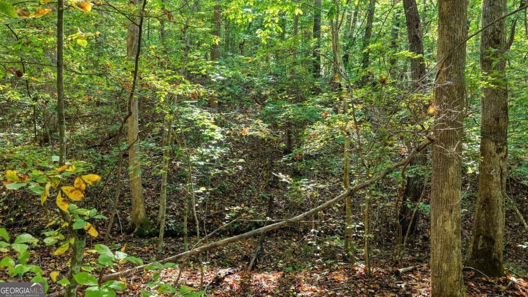 unimproved land for sale at 5.71 AC Forest Service 117 Road, Blairsville, GA 30512 — photo 5