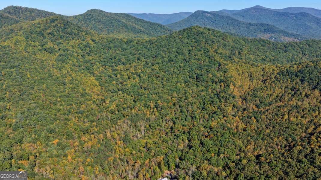 unimproved land for sale at 5.71 AC Forest Service 117 Road, Blairsville, GA 30512 — photo 9