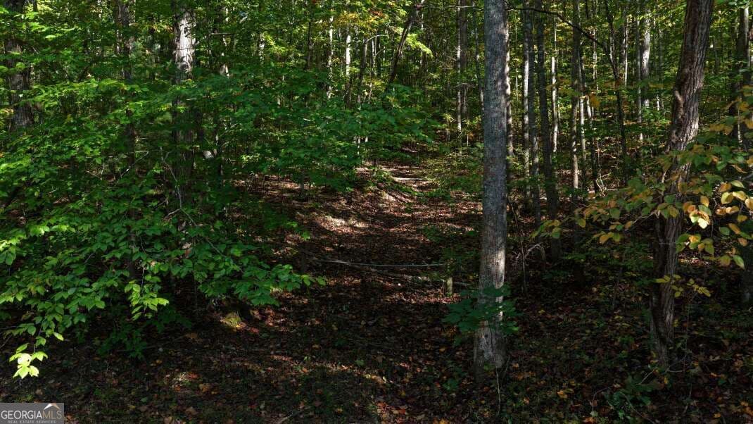 unimproved land for sale at 5.71 AC Forest Service 117 Road, Blairsville, GA 30512 — photo 4