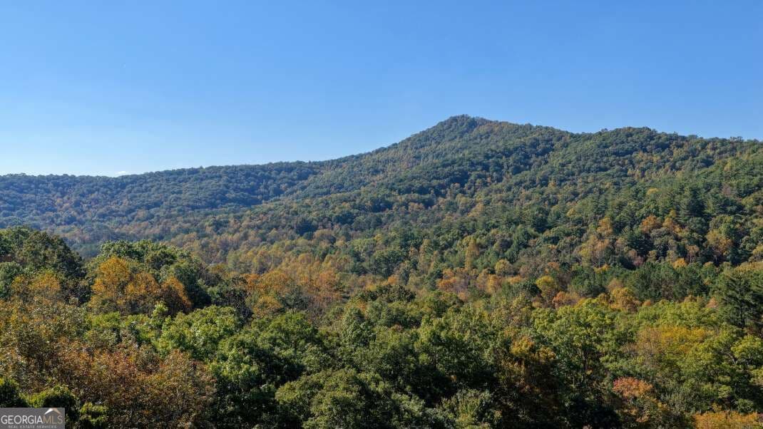 unimproved land for sale at 5.71 AC Forest Service 117 Road, Blairsville, GA 30512 — photo 8
