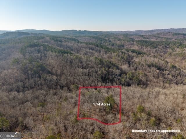 residential lot for sale at 1884 Finale Street, Talking Rock, GA 30175 — photo 2