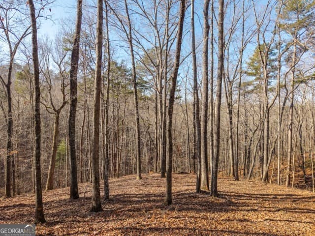 residential lot for sale at 1884 Finale Street, Talking Rock, GA 30175 — photo 6