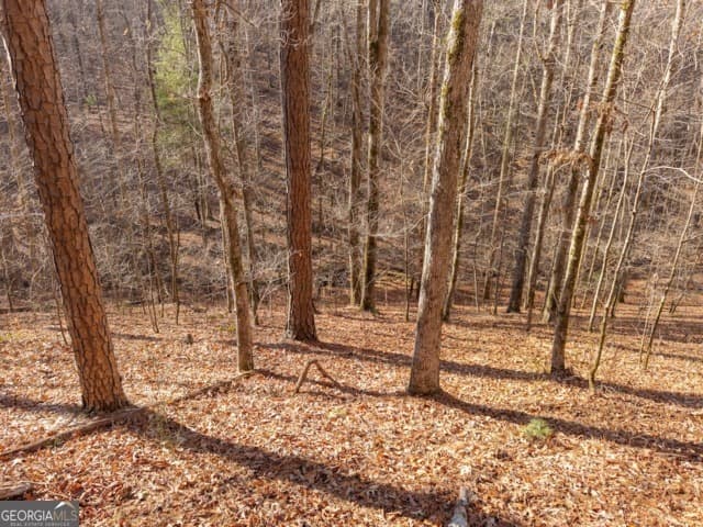 residential lot for sale at 1884 Finale Street, Talking Rock, GA 30175 — photo 7
