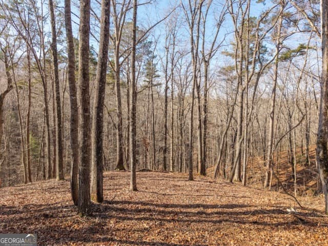 residential lot for sale at 1884 Finale Street, Talking Rock, GA 30175 — photo 1 of 19