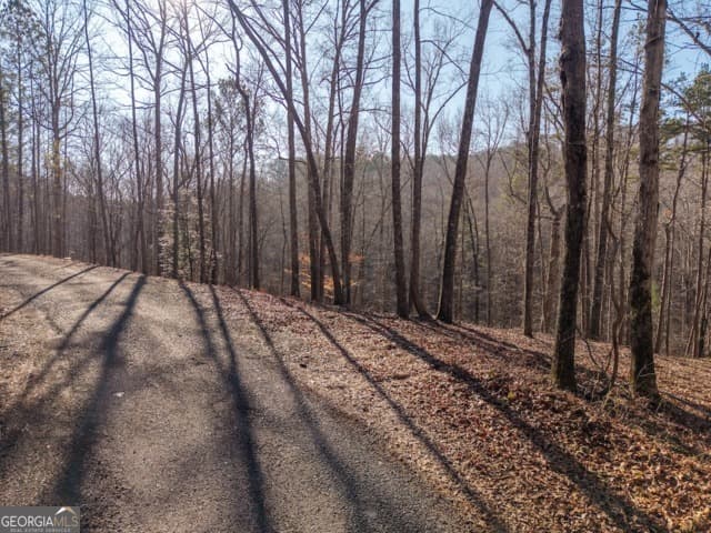 residential lot for sale at 1884 Finale Street, Talking Rock, GA 30175 — photo 5