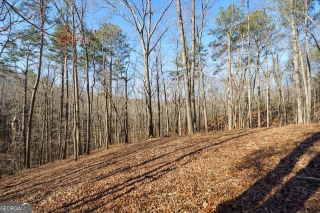 residential lot for sale at 1884 Finale Street, Talking Rock, GA 30175 — photo 9