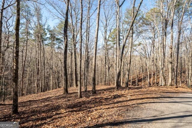 residential lot for sale at 1884 Finale Street, Talking Rock, GA 30175 — photo 10