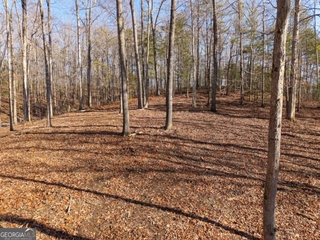 residential lot for sale at 1884 Finale Street, Talking Rock, GA 30175 — photo 4