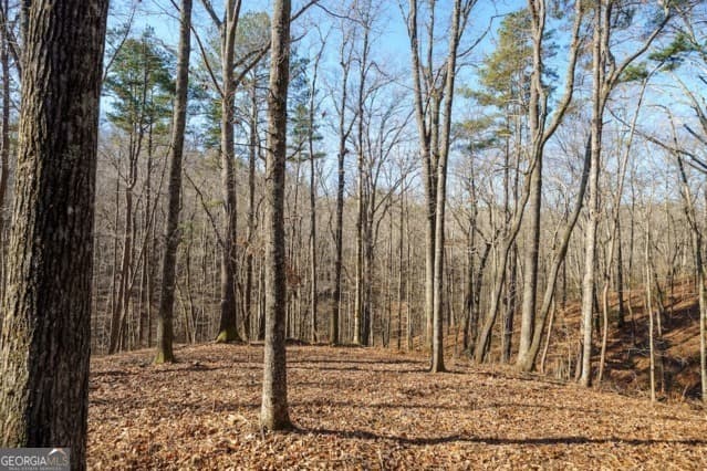 residential lot for sale at 1884 Finale Street, Talking Rock, GA 30175 — photo 8