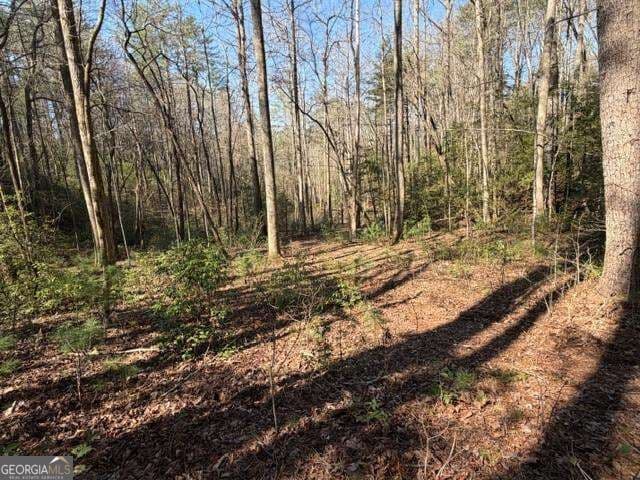 residential lot for sale at 0 Black Falls Road, Dahlonega, GA 30533 — photo 7