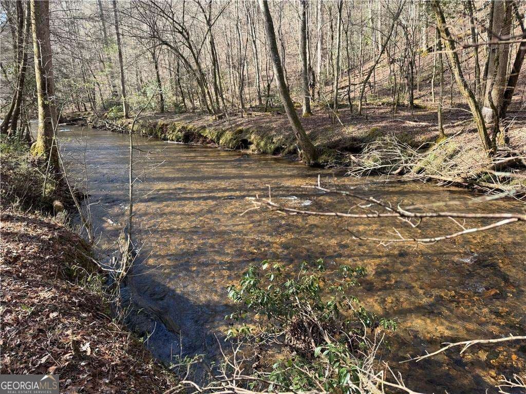residential lot for sale at 0 Black Falls Road, Dahlonega, GA 30533 — photo 3