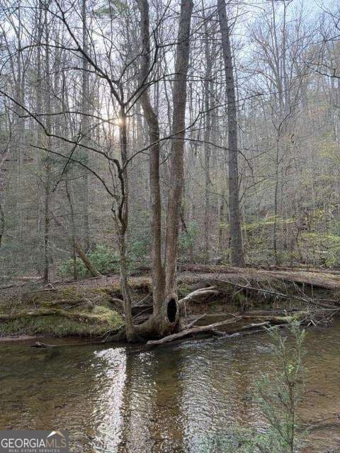 residential lot for sale at 0 Black Falls Road, Dahlonega, GA 30533 — photo 5