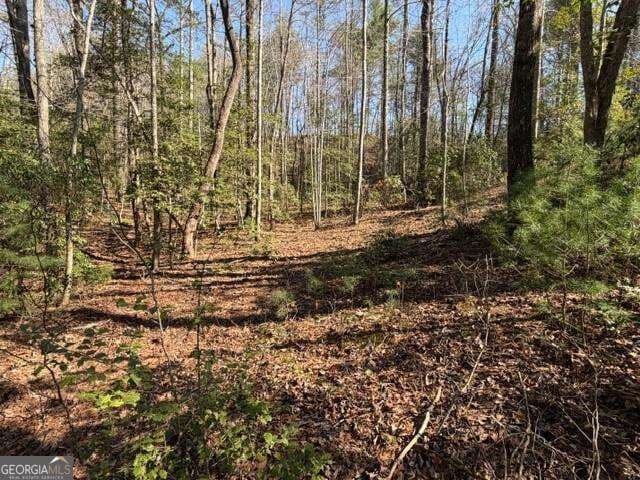 residential lot for sale at 0 Black Falls Road, Dahlonega, GA 30533 — photo 4