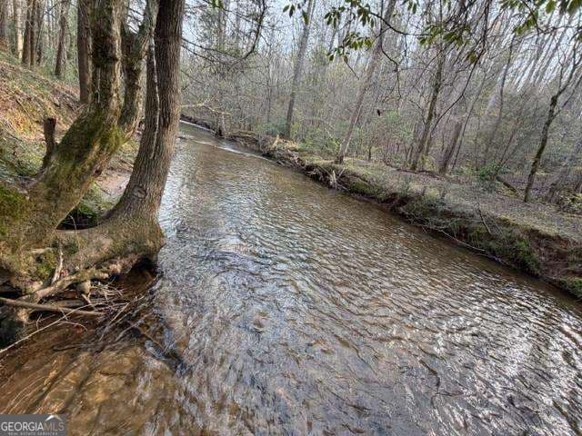 residential lot for sale at 0 Black Falls Road, Dahlonega, GA 30533 — photo 8