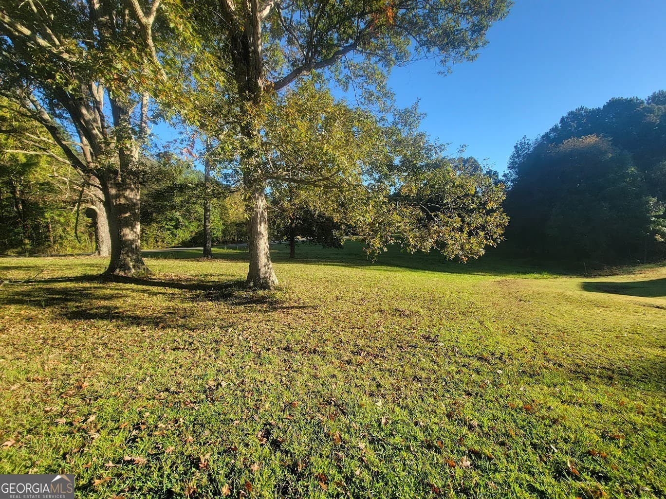 residential lot for sale at 0 Sunset Drive, Summerville, GA 30747 — photo 3