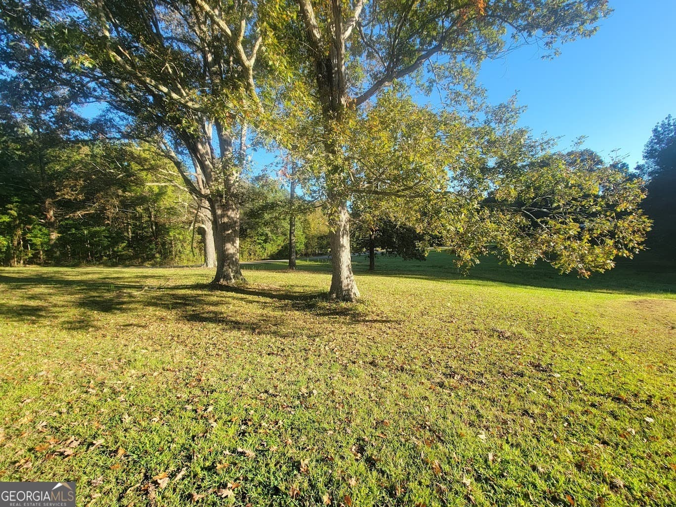 residential lot for sale at 0 Sunset Drive, Summerville, GA 30747 — photo 1 of 10