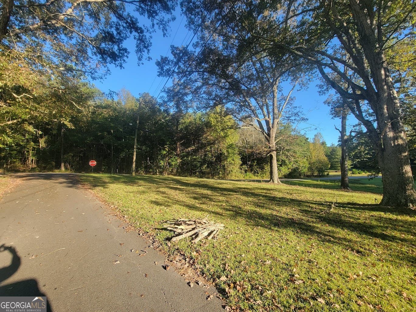 residential lot for sale at 0 Sunset Drive, Summerville, GA 30747 — photo 4