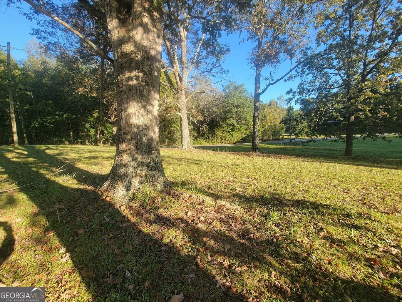 residential lot for sale at 0 Sunset Drive, Summerville, GA 30747 — photo 8