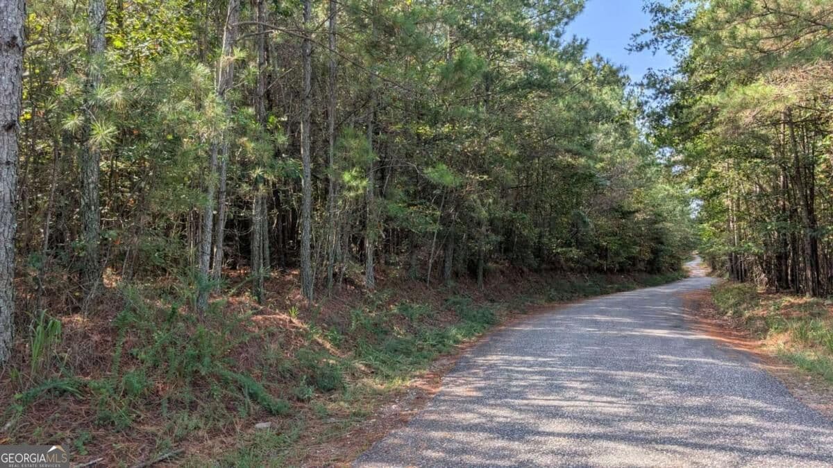 unimproved land for sale at 1088 Ballard Road, Ball Ground, GA 30107 — photo 2