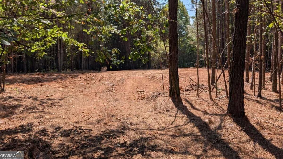 unimproved land for sale at 1088 Ballard Road, Ball Ground, GA 30107 — photo 3