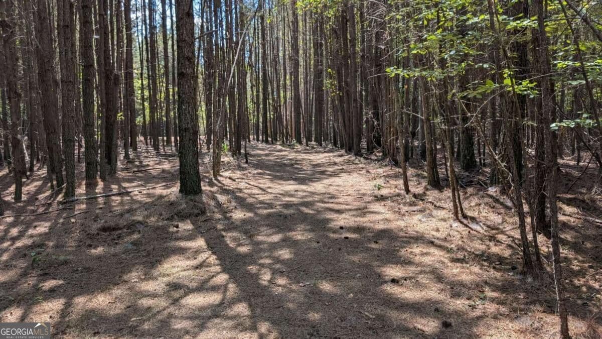unimproved land for sale at 1088 Ballard Road, Ball Ground, GA 30107 — photo 4