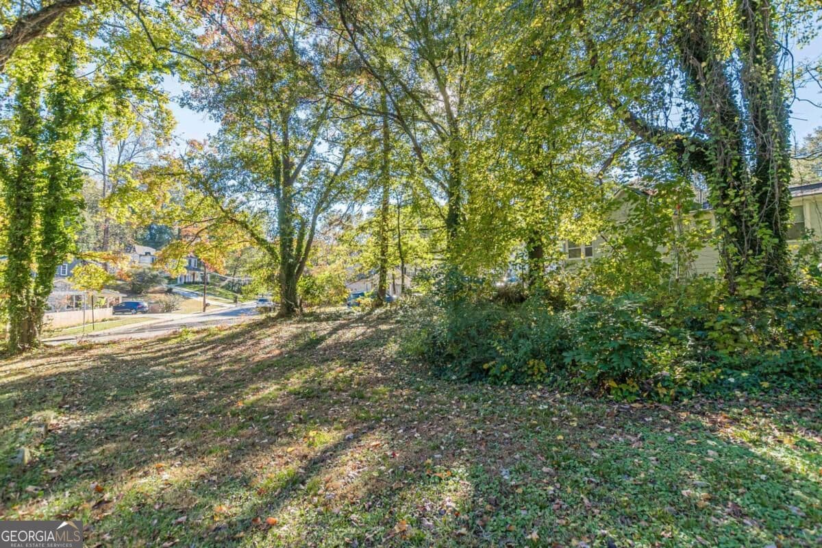 residential lot for sale at 437 Oak Drive, Hapeville, GA 30354 — photo 9