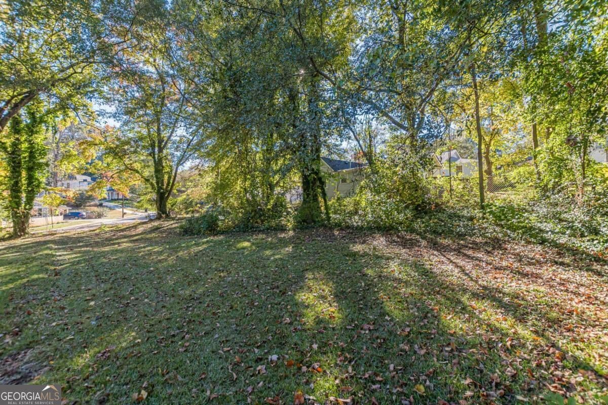 residential lot for sale at 437 Oak Drive, Hapeville, GA 30354 — photo 10