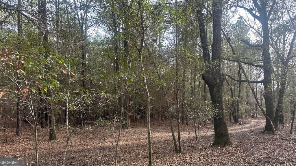 residential lot for sale at 4 Country Club Road LOT 4, Sylvania, GA 30467 — photo 6