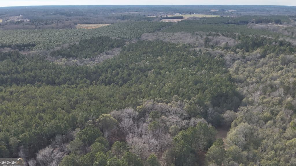 residential lot for sale at 4 Country Club Road LOT 4, Sylvania, GA 30467 — photo 7