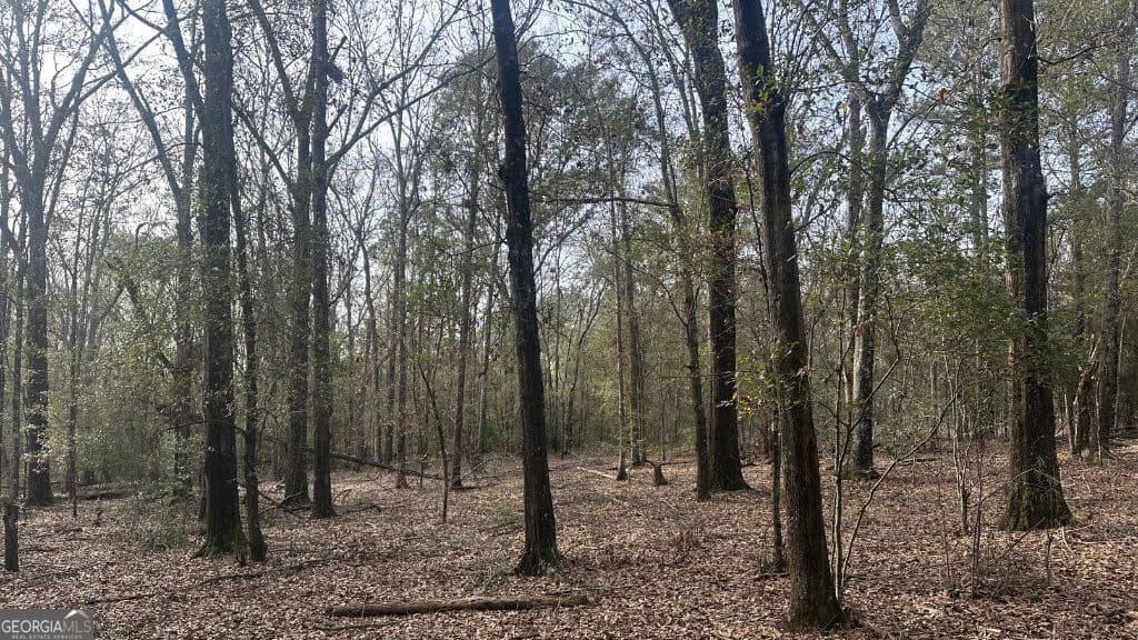 residential lot for sale at 4 Country Club Road LOT 4, Sylvania, GA 30467 — photo 8