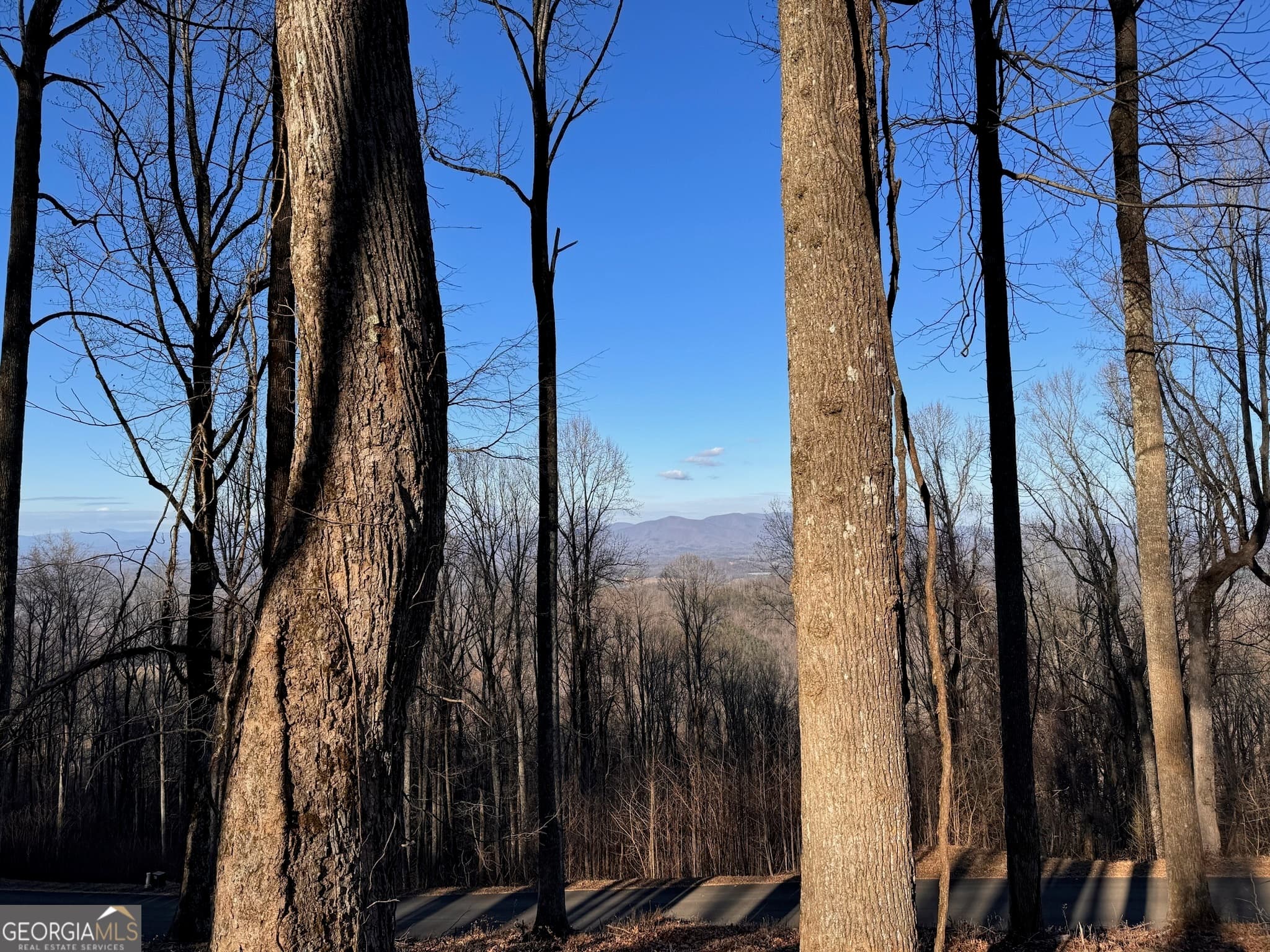 residential lot for sale at LT 296 Andes Ridge, Ellijay, GA 30536 — photo 2