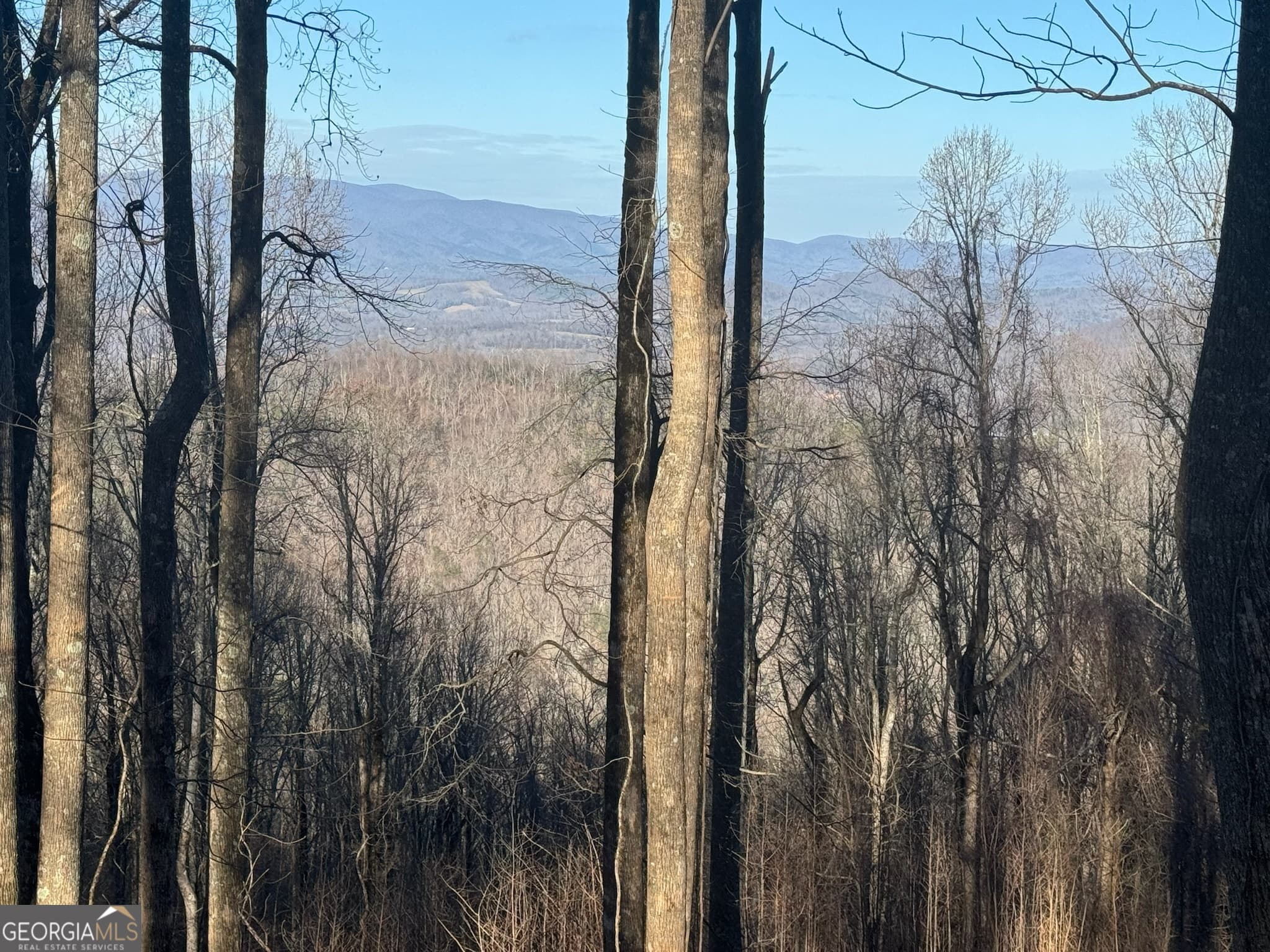 residential lot for sale at LT 296 Andes Ridge, Ellijay, GA 30536 — photo 6