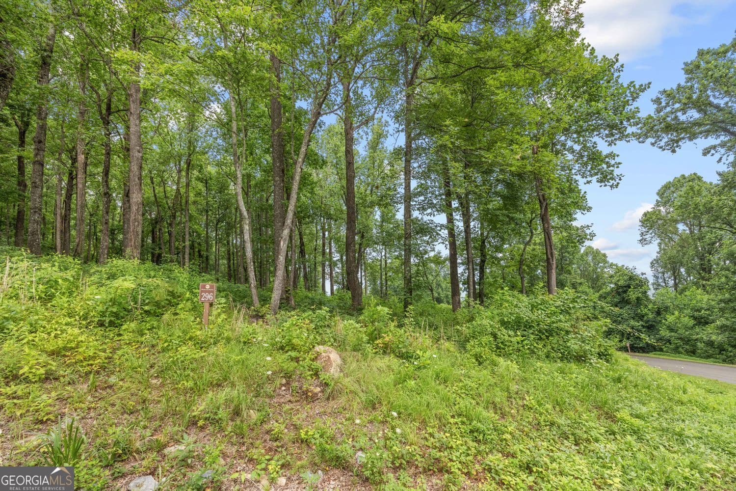 residential lot for sale at LT 296 Andes Ridge, Ellijay, GA 30536 — photo 7