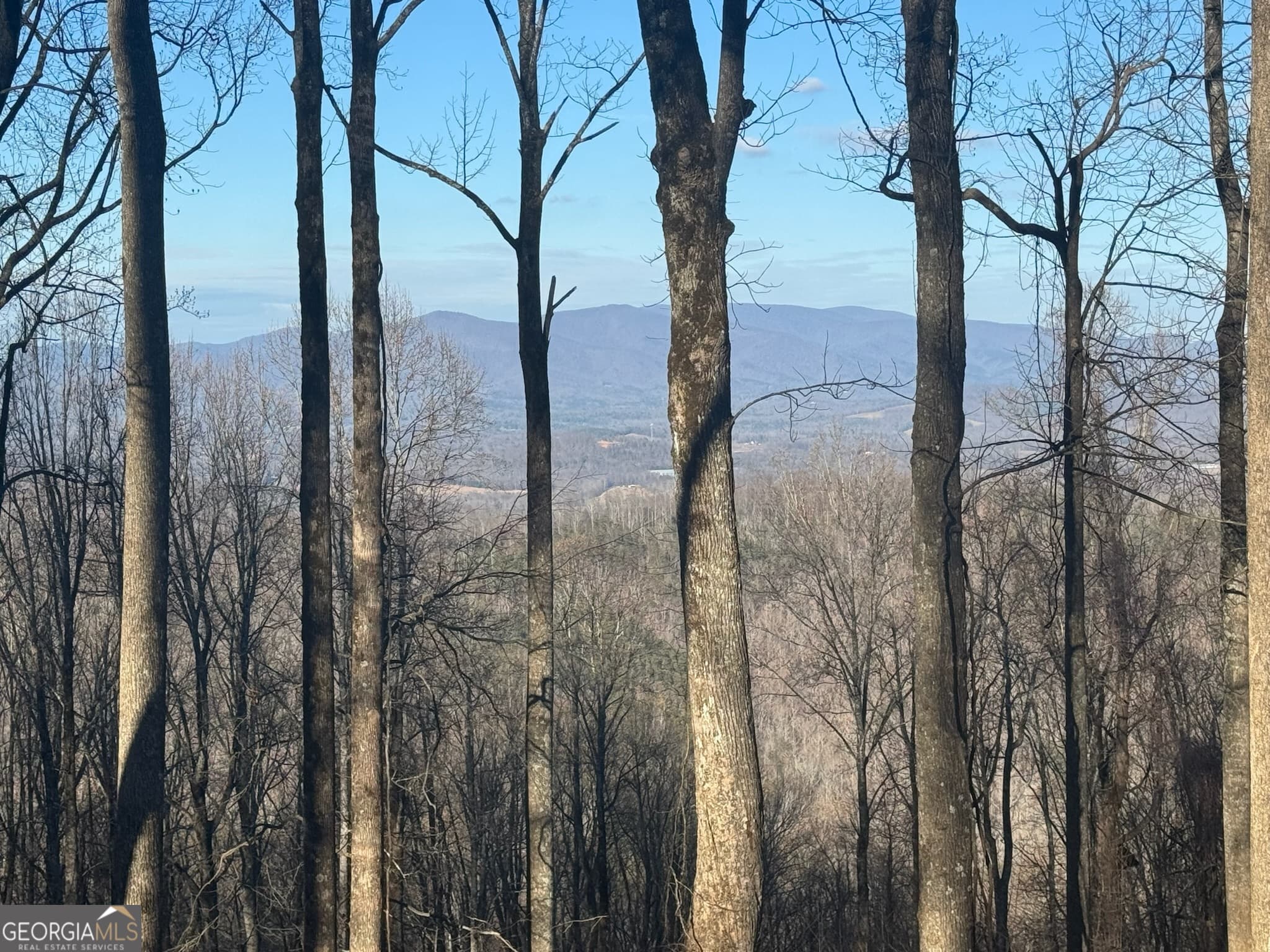 residential lot for sale at LT 296 Andes Ridge, Ellijay, GA 30536 — photo 3