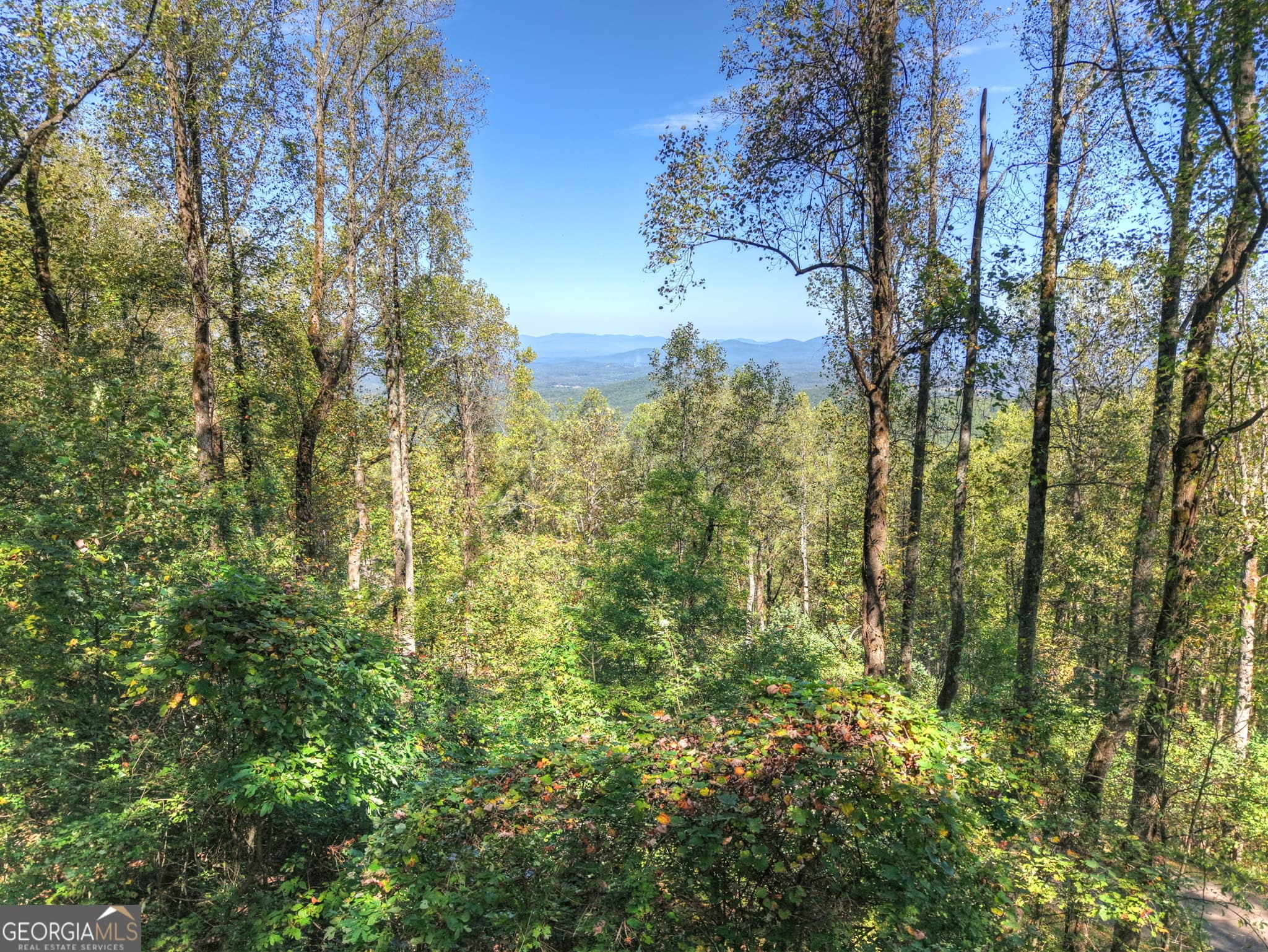 residential lot for sale at LT 296 Andes Ridge, Ellijay, GA 30536 — photo 1 of 21